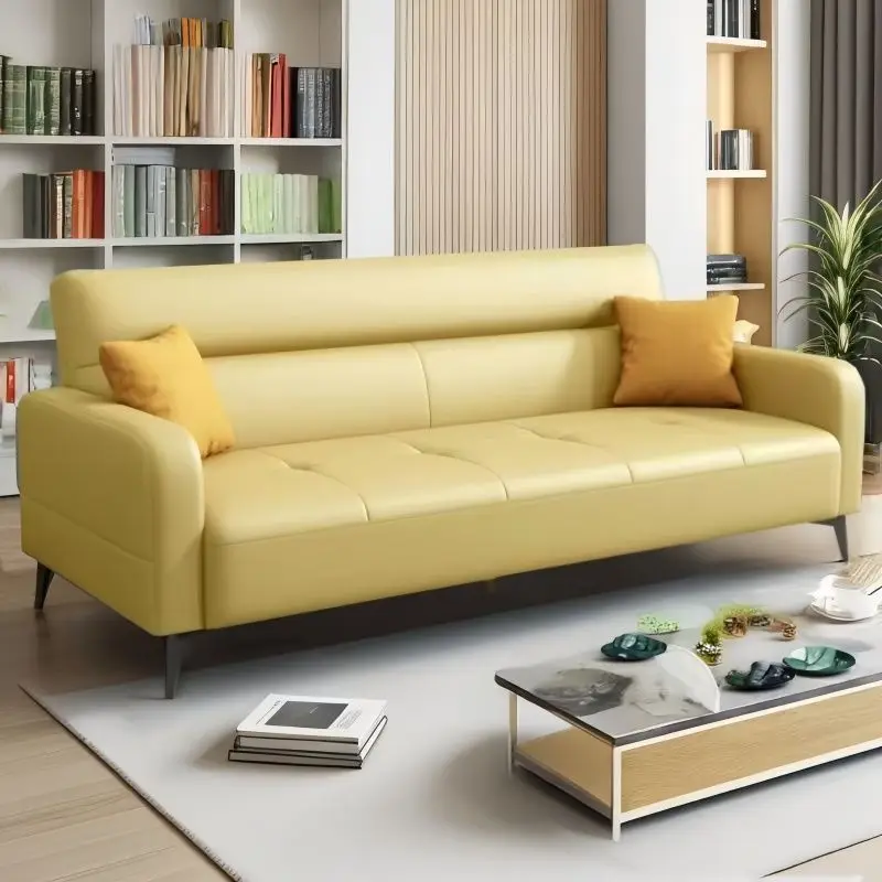 Sofa integrated dual-purpose scratching skin simple multi-functional folding sofa bed small apartment rental room