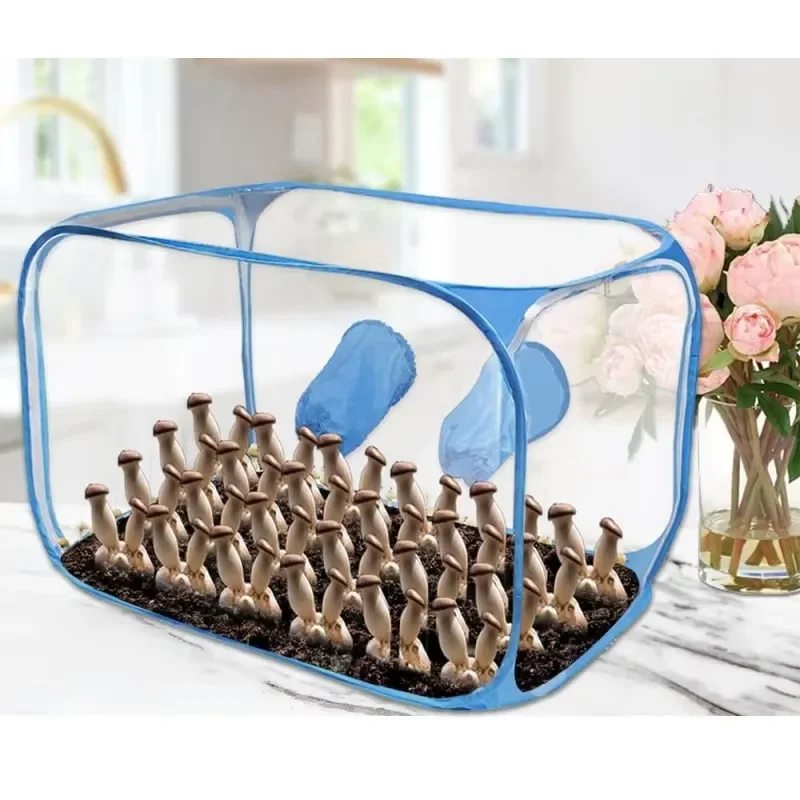 EE1 for New Eco-Friendly Foldable Mushroom Growth Bag Laminar Flow Still Air Box Home Microbiology Mycology Easily Assembled