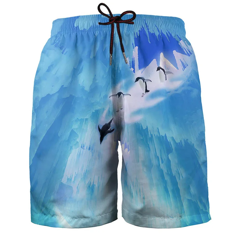 Hawaiian Beach Shorts 3d Print Surf Board Quick Dry Plants For Men Fashion Swimwear Bathing Suit Summer Swimming Hip Hop Pants