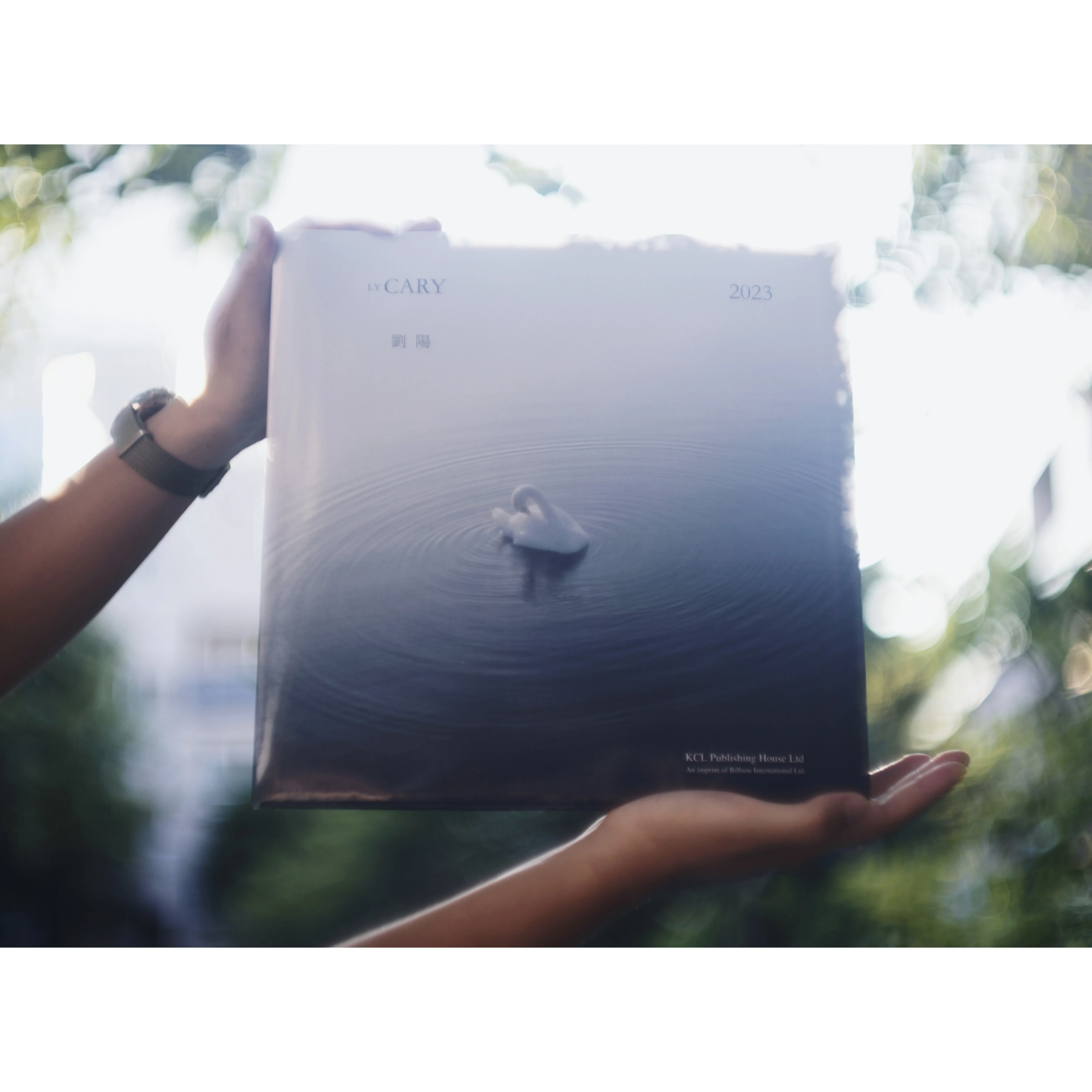 Liu Yang's 2023 Annual Picture Album, Yangtao Bookstore @Lycary Photo Collection Yangtao