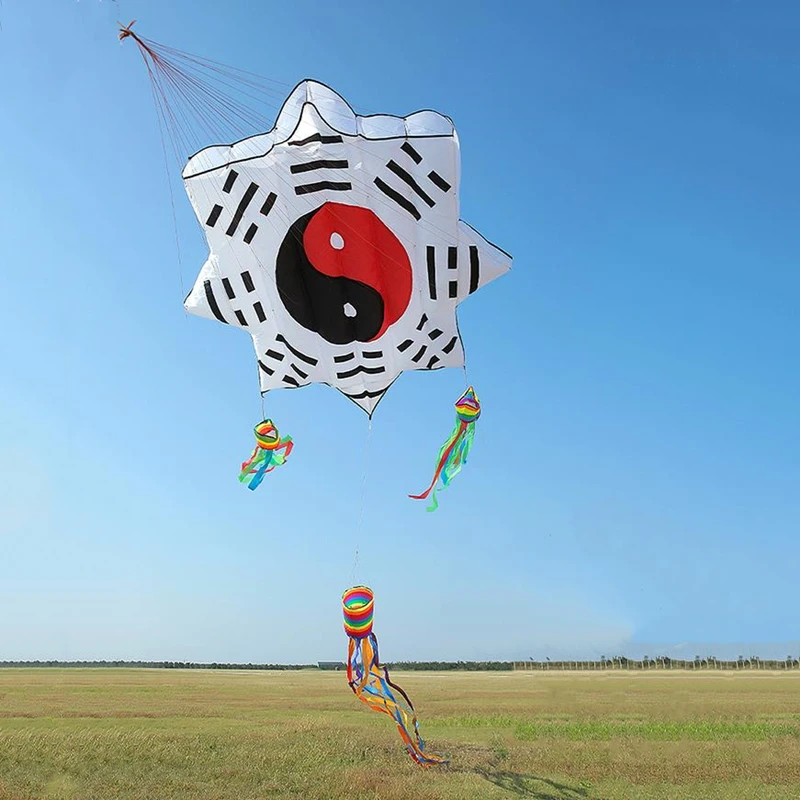 free shipping 3d kites flying soft kites gossip kite nylon ripstop giant inflatable kites Chinese traditional kites eagle toy