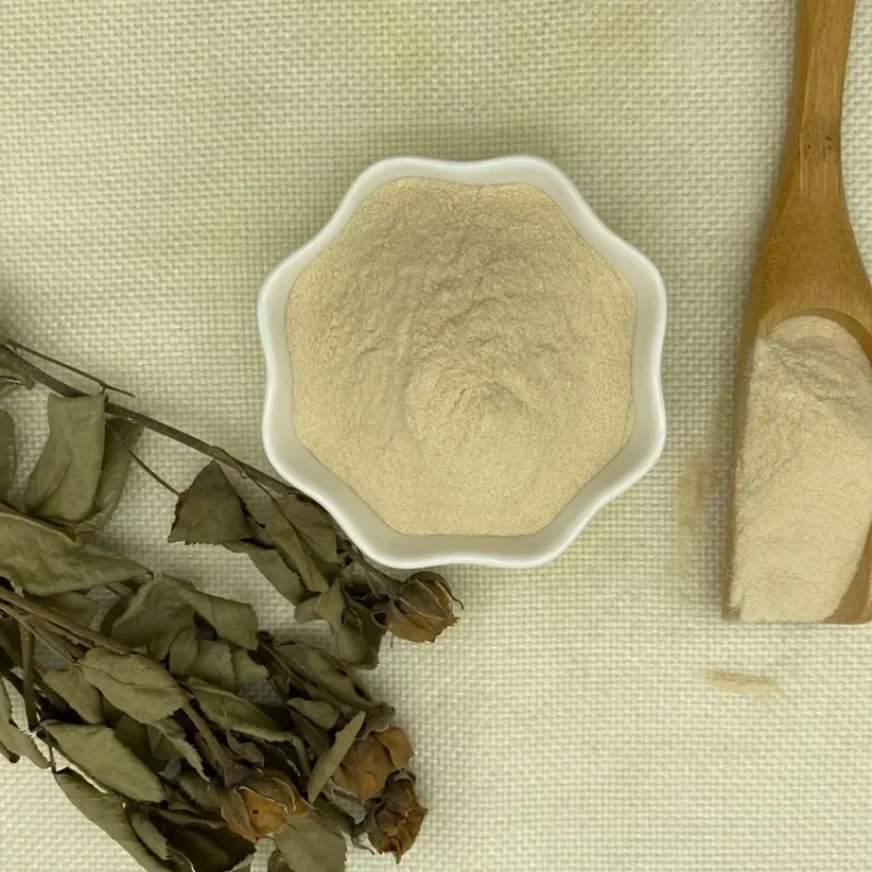 Acyl-Gellan-Gummi pulver