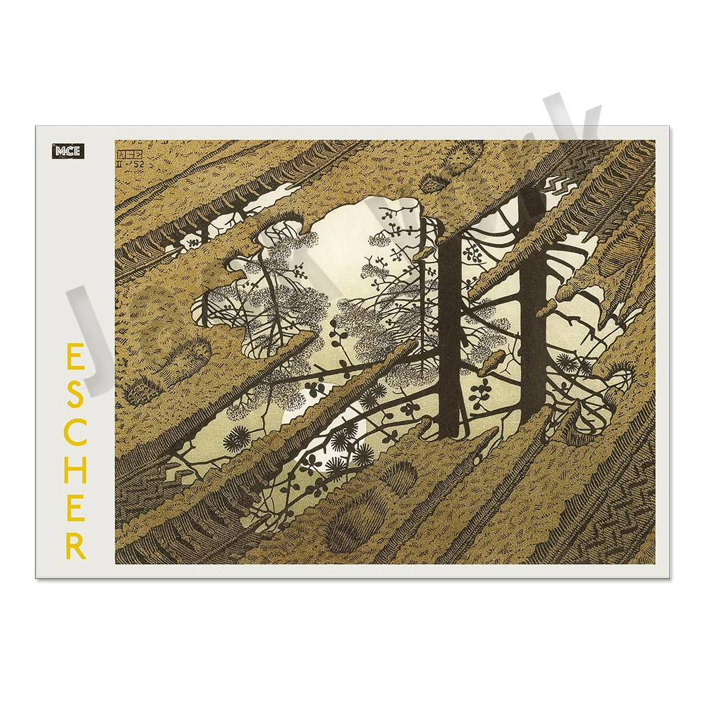 م. ج. إيشر ثلاثة عوالم ، م. ج. إشر بيرد فيش ، ثعبان ، م. ج. عين Escher ، أربعة عناصر النار أربعة ، ملصق معرض الزواحف #4