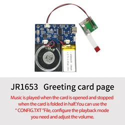 Voice Chip Module 4MB/16MB Greeting Card Sound Recorder Board USB Downloadable & Recordable with Playback for Xmas Card Gifts