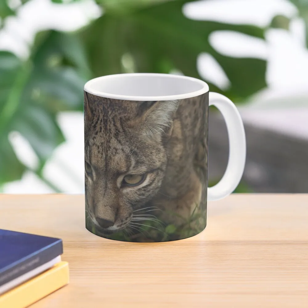 Iberian Lynx Classic  Mug Picture Printed Design Coffee Gifts Drinkware Handle Round Simple Image Cup Tea Photo