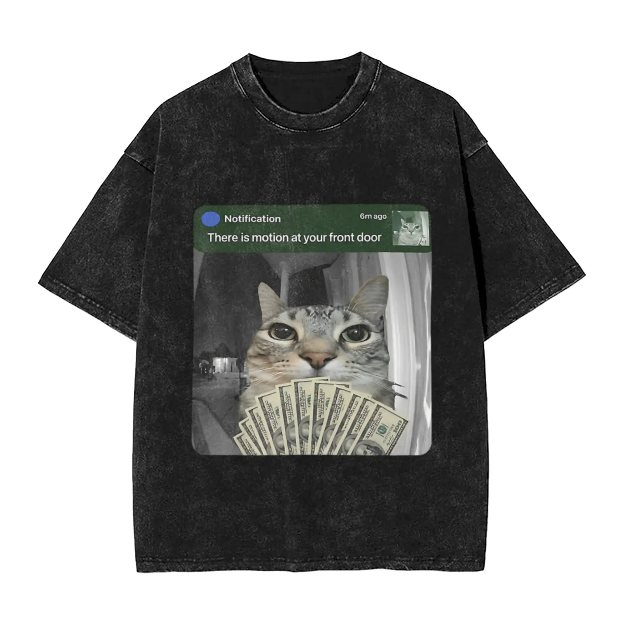 Ring Cat With Motion Meme Classic Trendy A T-Shirt Oversized Short Sleeve Men's Women's Cotton Tees Tops