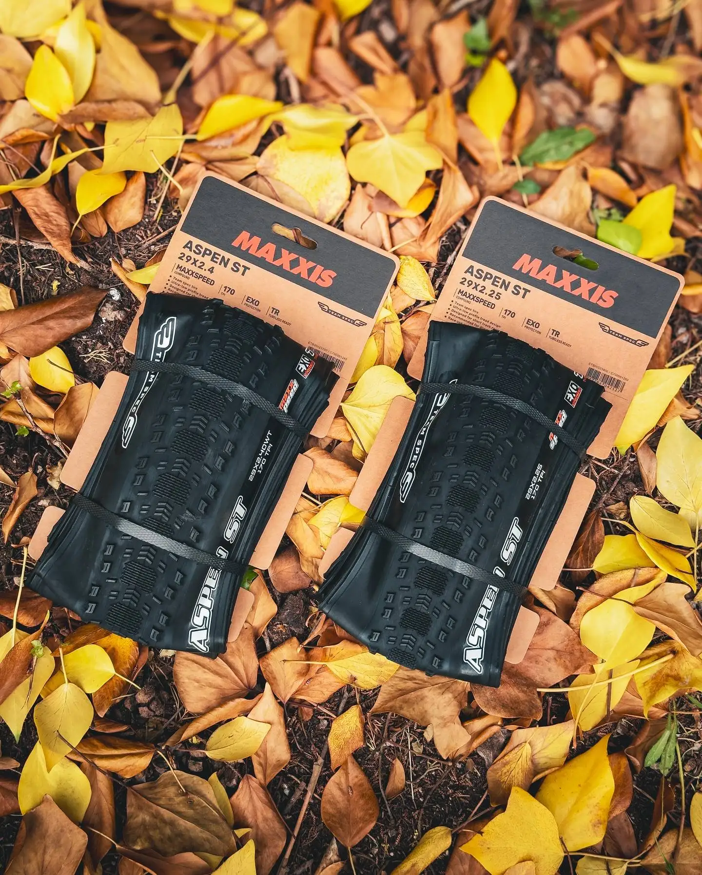 MAXXIS ASPEN Fahrradreifen, zusammenklappbar, pannensicher, schlauchlos, Fahrradreifen 29 x 2,1 29 x 2,25/2,4 Mountain Original XC Offroad-Fahrradreifen – Detail 19