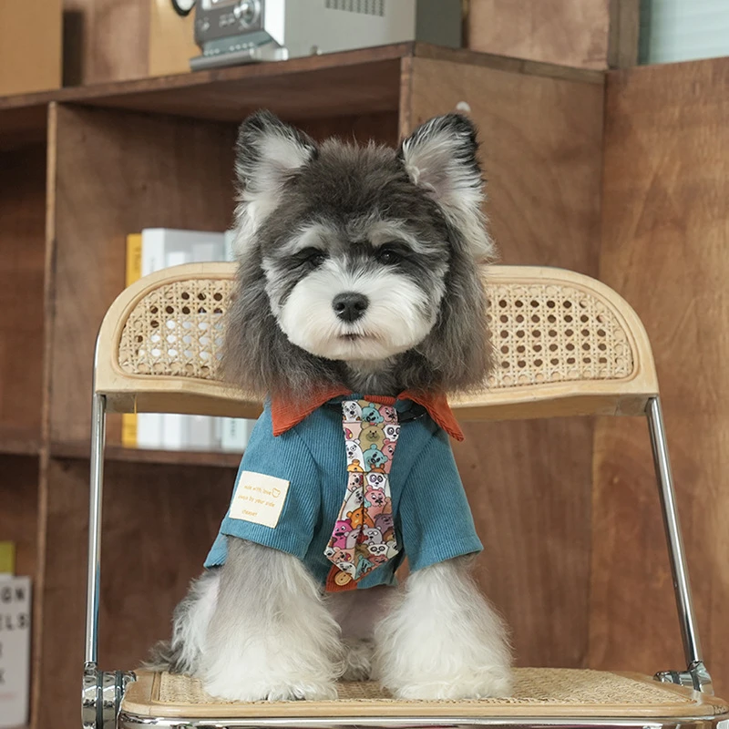 Ropa para perros, camisa de otoño/invierno para perros pequeños, estilo de Hong Kong, Retro, rascal, corbata bonita, Collar de pana, prendas de vestir exteriores para perros