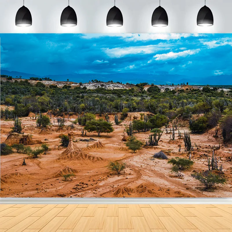 Пейзаж пустыни с кусточками, деревьями, горами, фоны для фотосъемки, кактус, растение, Джошуа, рок-формации, фотофон RD-02