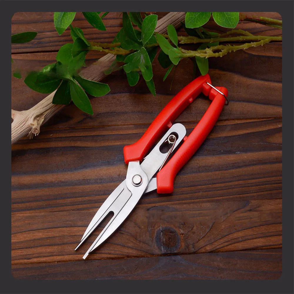 Double-edged Fruit Picking Scissors Garden Pruner Shears Citrus Tree Flower Cultivating Solid Multi-use Pruning Fruit Tree