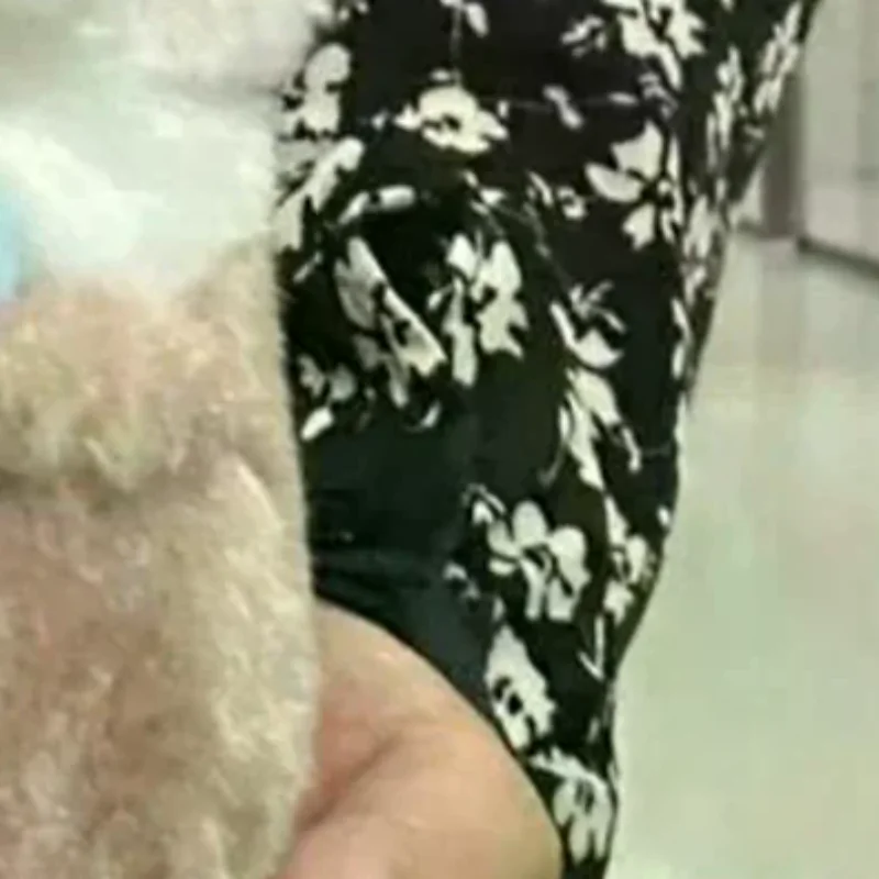 

Мультяшные милые выдри, держит рыбу, плюшевая кукла с цепочкой, креативные кавайные брелоки, подвесной кулон, ювелирные изделия, школьная сумка, кошелек, подвески