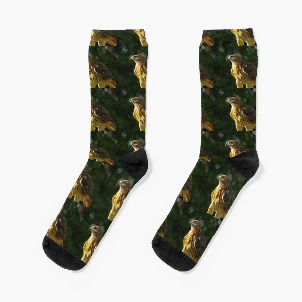 Red-Tailed Hawk Socks cotton Wholesale Antiskid soccer moving stockings Man Socks Women's