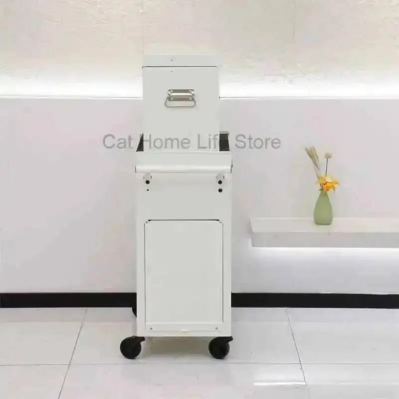 Beauty Drawer Beech Bar Trolley Equipments Salon Chairs Shampoo Organizers Trolleys Machine Laser Roulette Storage Clinic Wheels
