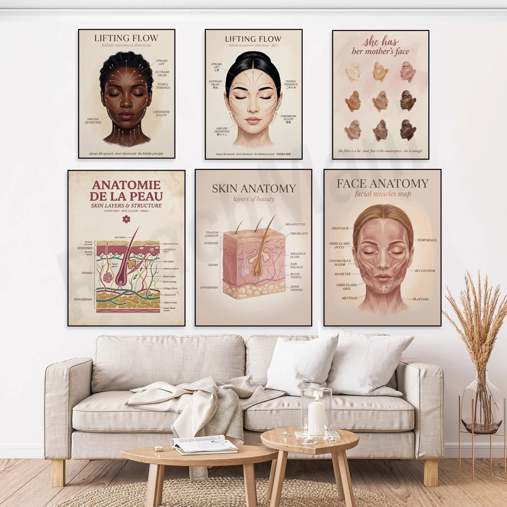 Skin and facial anatomy posters, massage guides, women's wall art, diverse female faces, spa and clinic décor.