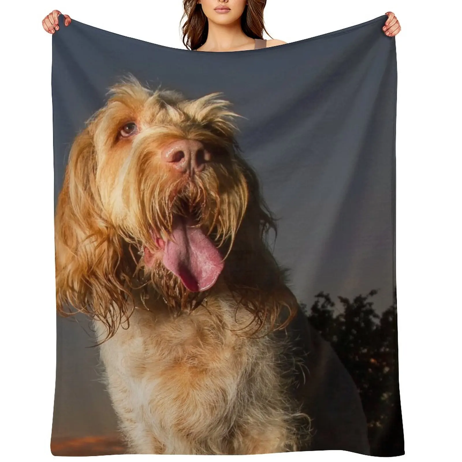 

Standing on a seat at sunset Spinone Throw Blanket Warm for winter Luxury Brand Comforter Blankets