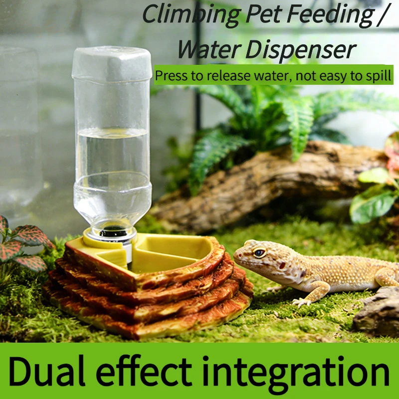 Water Dish Reptile - Ciotola 2 in 1 per Acqua