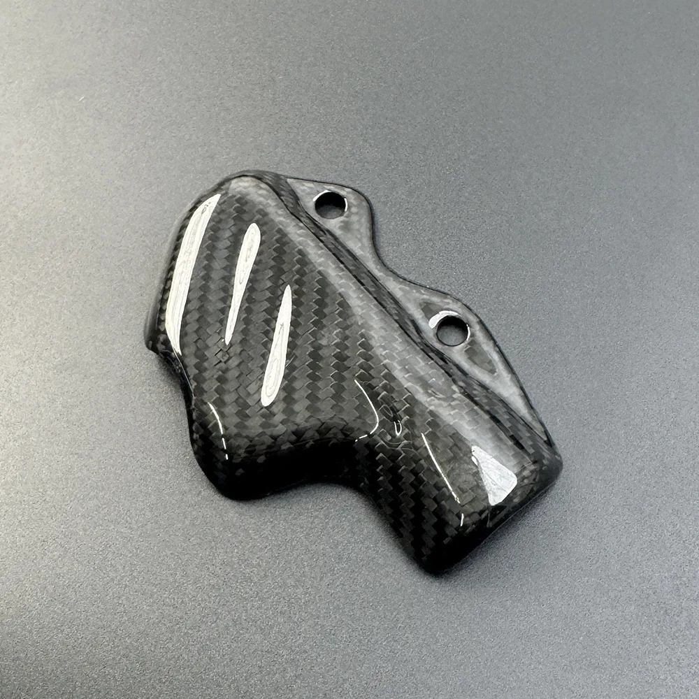 Per DUCATI Panigale V4 SR V2 899 959 1199 1299 Streetfighter V4 S Moto In Fibra di Carbonio Posteriore Pompa Freno Copertura Tappo di Protezione