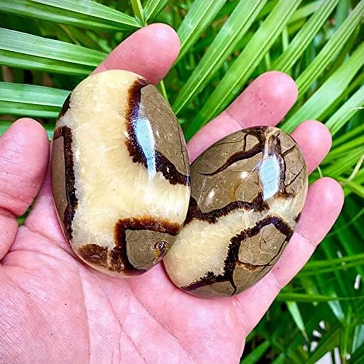 1Pc 5-7cm Septarian Crystal Dragon Stone Healing Crystals Yoga Reiki Meditation Crystal Grid Healing Massage Spa Energy Crystals