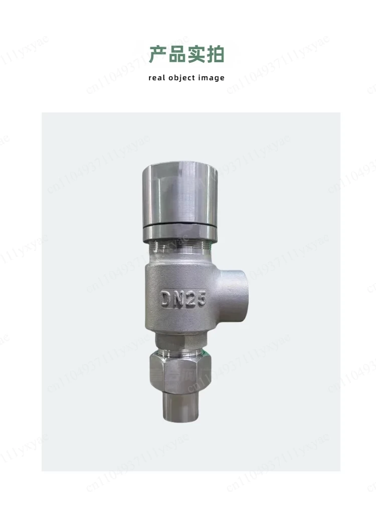 304 Stainless Steel Spring Micro-opening Type External Thread Safety Valve A21W-16P Corrosion Resistant Valve