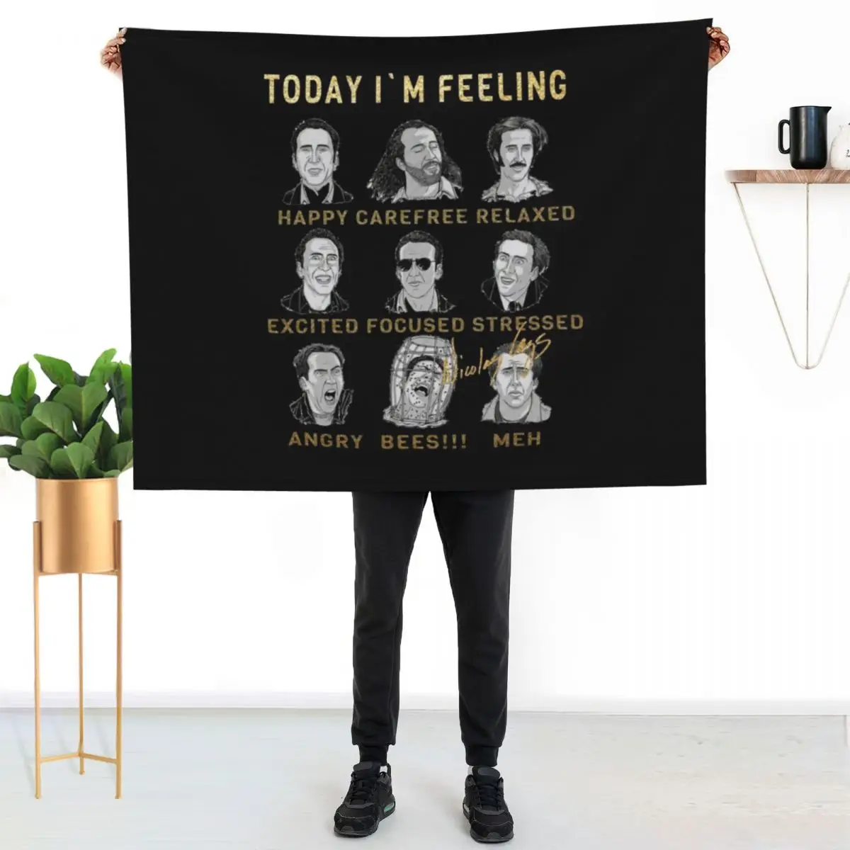 Nicholas Cage - Nicolas Cage - Nick Cage - Nic Throw Blanket Shaggy Soft Big Stuffeds Hair funny gift Blankets