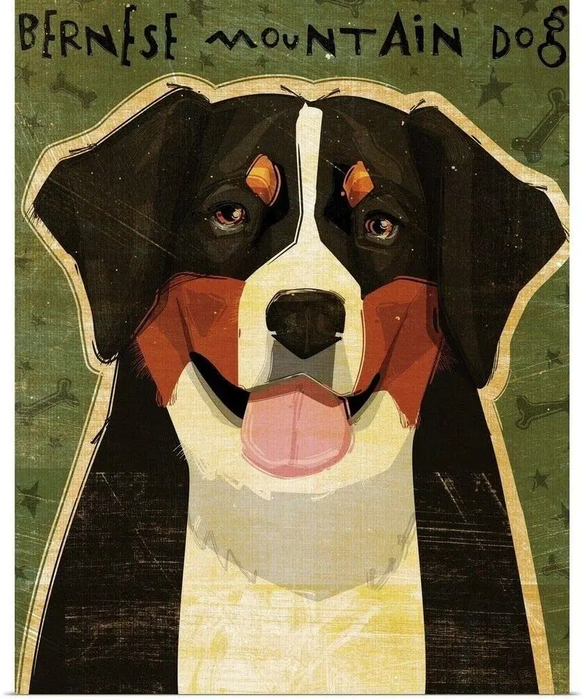 Bernese Mountain Dog Great Tin Sign Aluminum Metal Sign Tin Sign/Aluminum Metal Sign 8x12inch sign sign