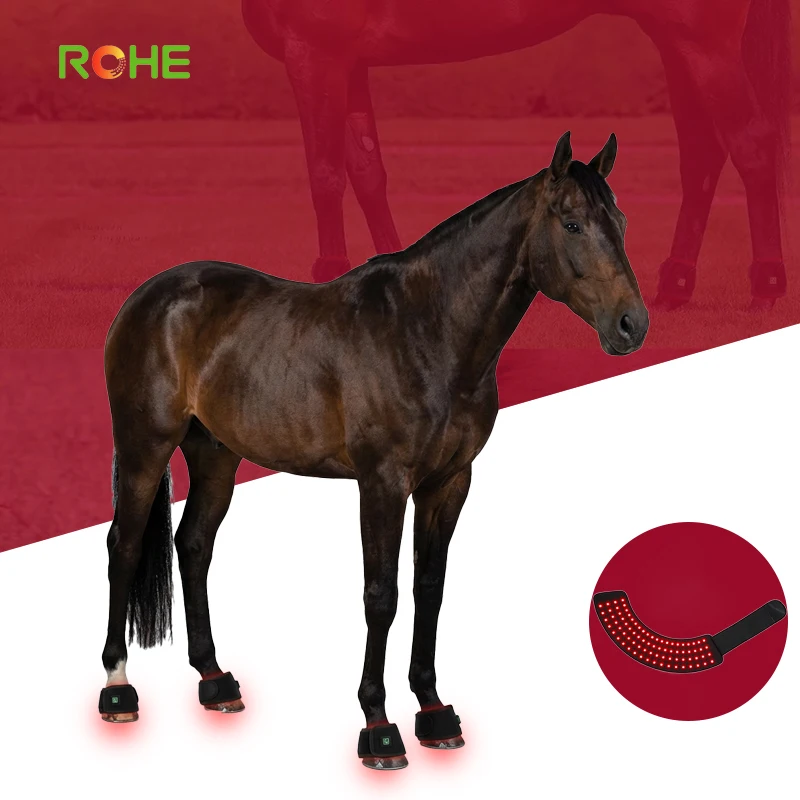 ROHE Red Light Therapy Hoof Healer For Horses Accelerated Recovery
