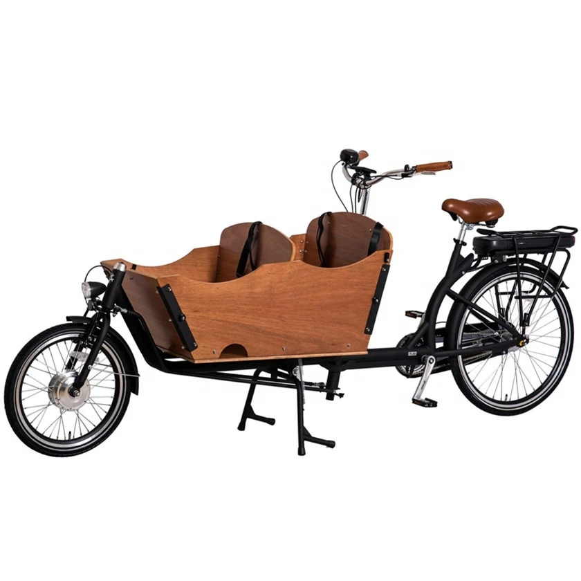 pets cargo bike 2 wheel electric bicycle family cycle for taking kids 3 seats