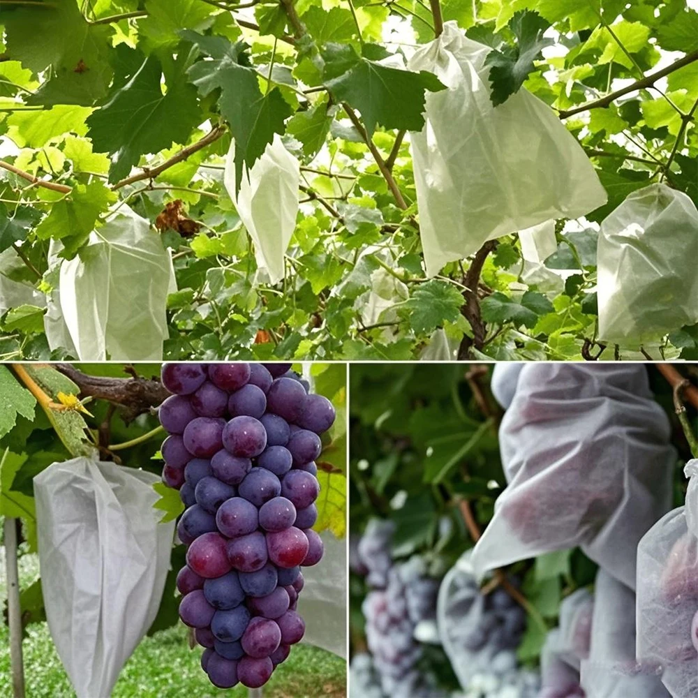 Sacs de Protection des fruits Non tissés, sacs de Protection respirants pour vergers, sacs horticoles, sacs de Protection contre les insectes et les oiseaux