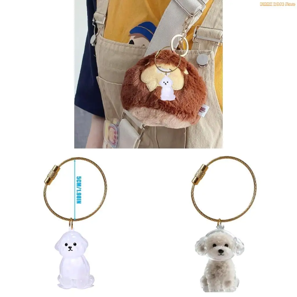 K1AE Pet Ashes Memo…