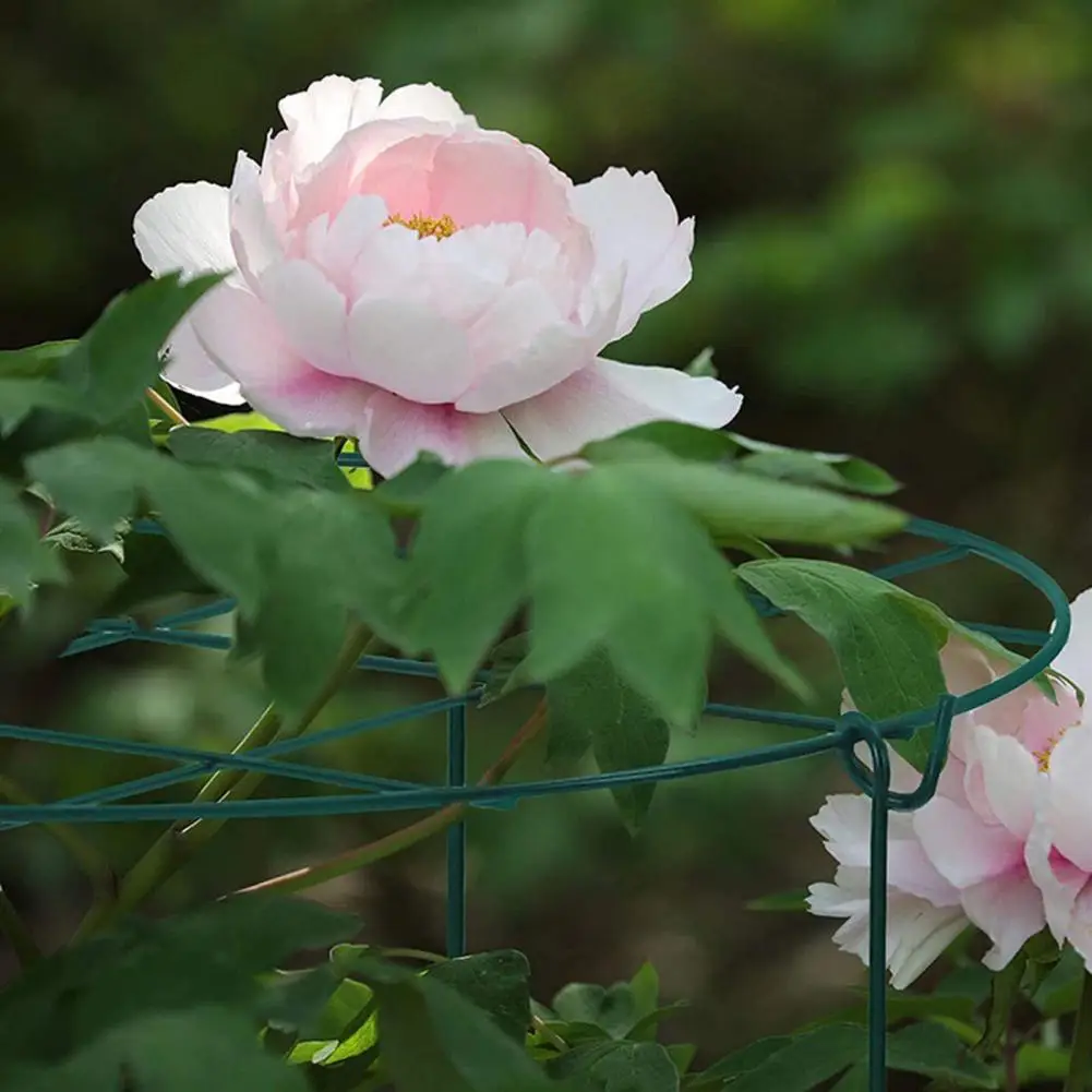 Peony Cage Daily Easy to Install Flower Support Ring Round Edge Garden Flower Support Stake for Flowers