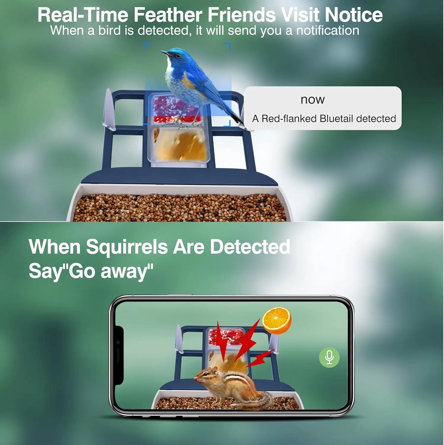 وحدة تغذية الطيور الذكية مع كاميرا، معرف أنواع الذكاء الاصطناعي، تعمل بالطاقة الشمسية، فيديو عالي الدقة 2K، تنبيهات فورية لمحبي الطيور #3