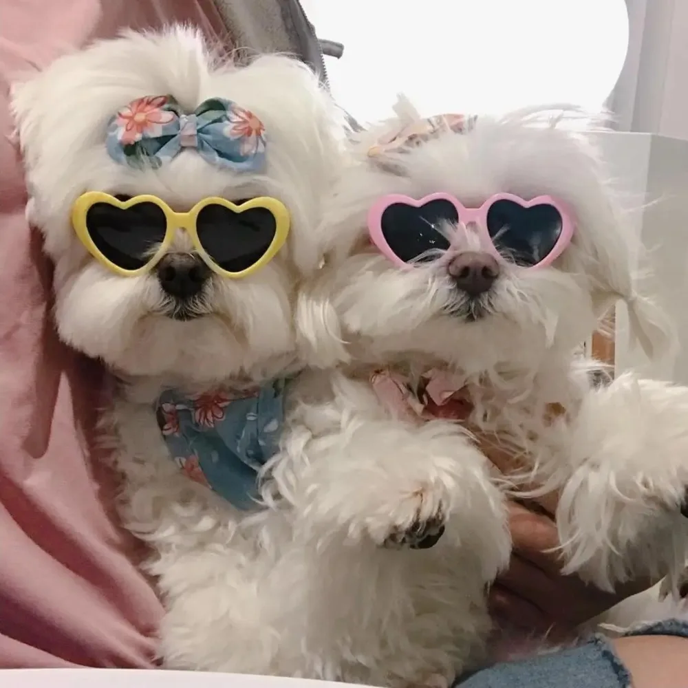 Love Pet Glasses Dog Cat Creative Fashion Sunglasses Sunglasses with Jewelry Cat Dog Love Glasses Pet Beauty Decoration Supplies
