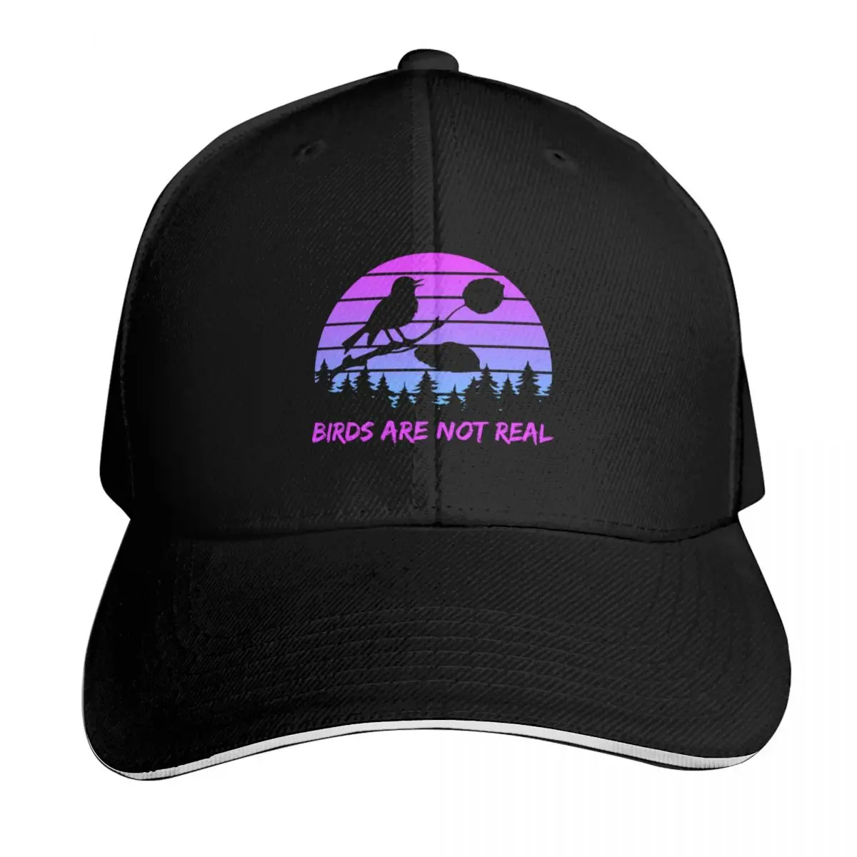 Birds Are Not Real Retro Vintage Conspiracy Theory Men Women Baseball Cap Men Women Casual Summer Sport Sun Cap
