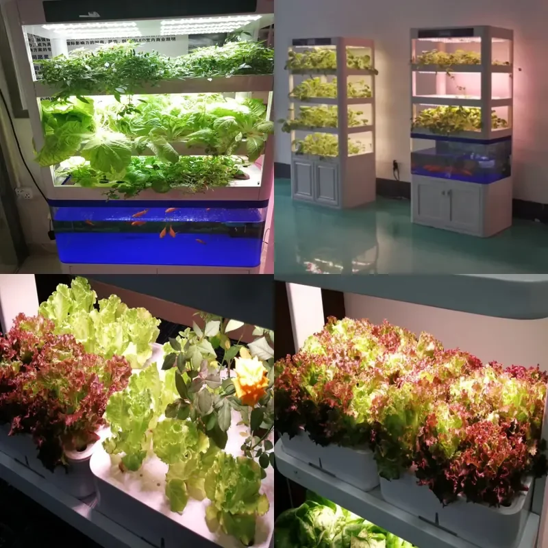 Fish Tank Symbiosis System Ecological Nursery Vegetable Growth Lamp Hydroponics Intelligent Growth System for Home Garden