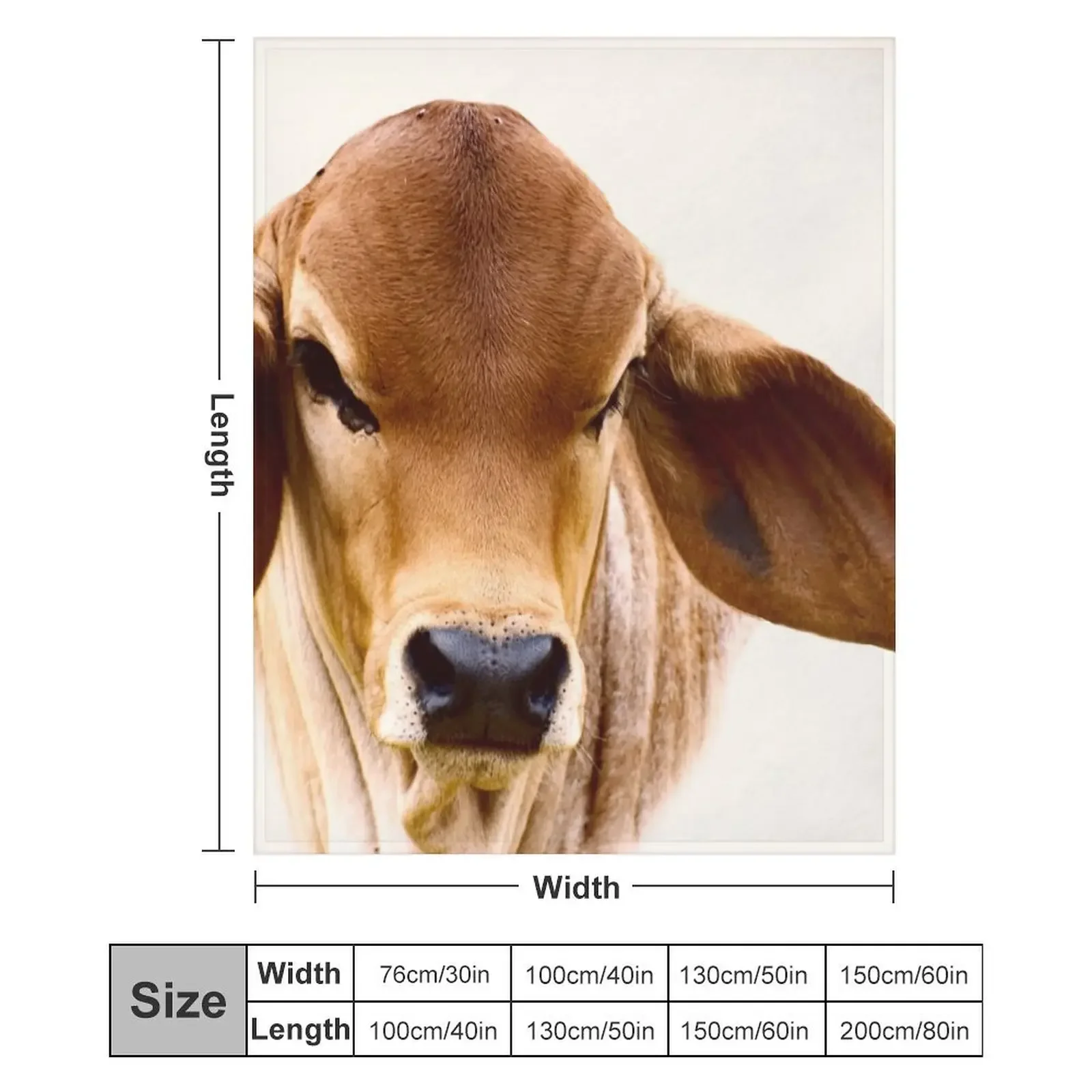 برهمان كالف، بورتريه رمي بطانية المعزي المرجح فروي زينة عيد الميلاد البطانيات