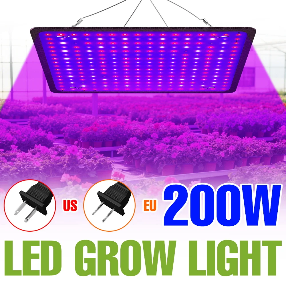 200 واط نبات الطيف الكامل ملء ضوء LED لوحة الكم تنمو مصباح الدفيئة خيمة المائية الخضار بذور زراعة الفاكهة الإضاءة #1