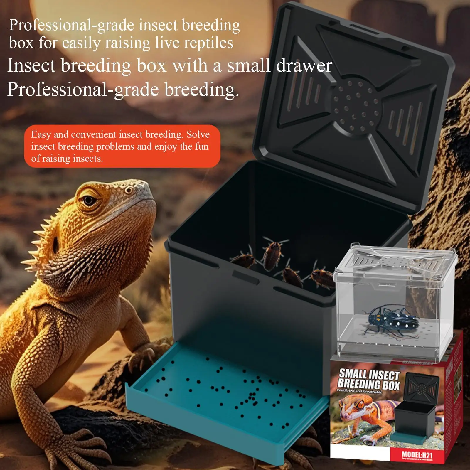 Spider Terrarium Small Terrarium Ventilated Keeper For Science Projects Outdoor Camping Travel Educational Displays Living Room