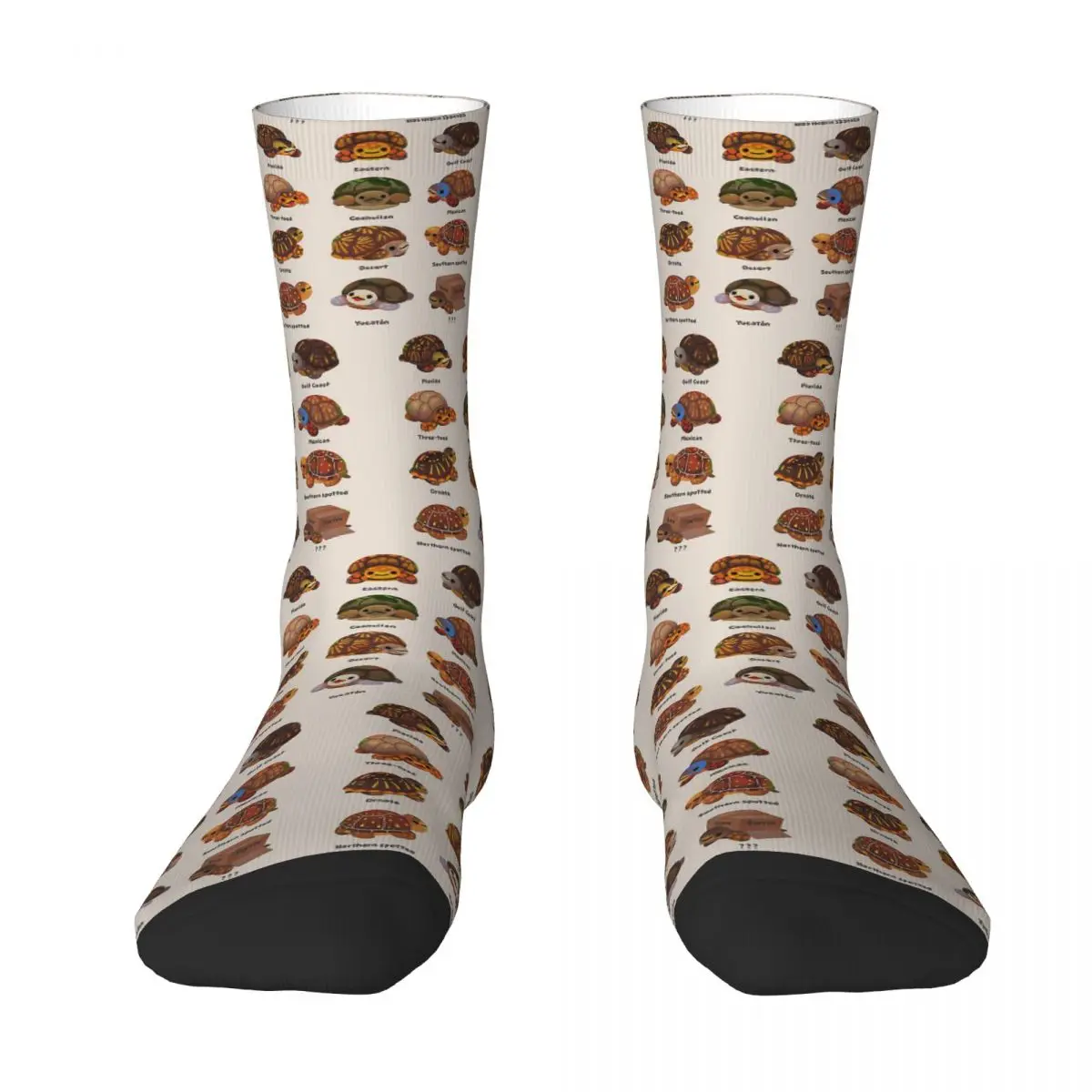 Box Turtle Unisex Winter Socks Outdoor Happy Socks Street Style Crazy Sock