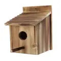 Wood Color