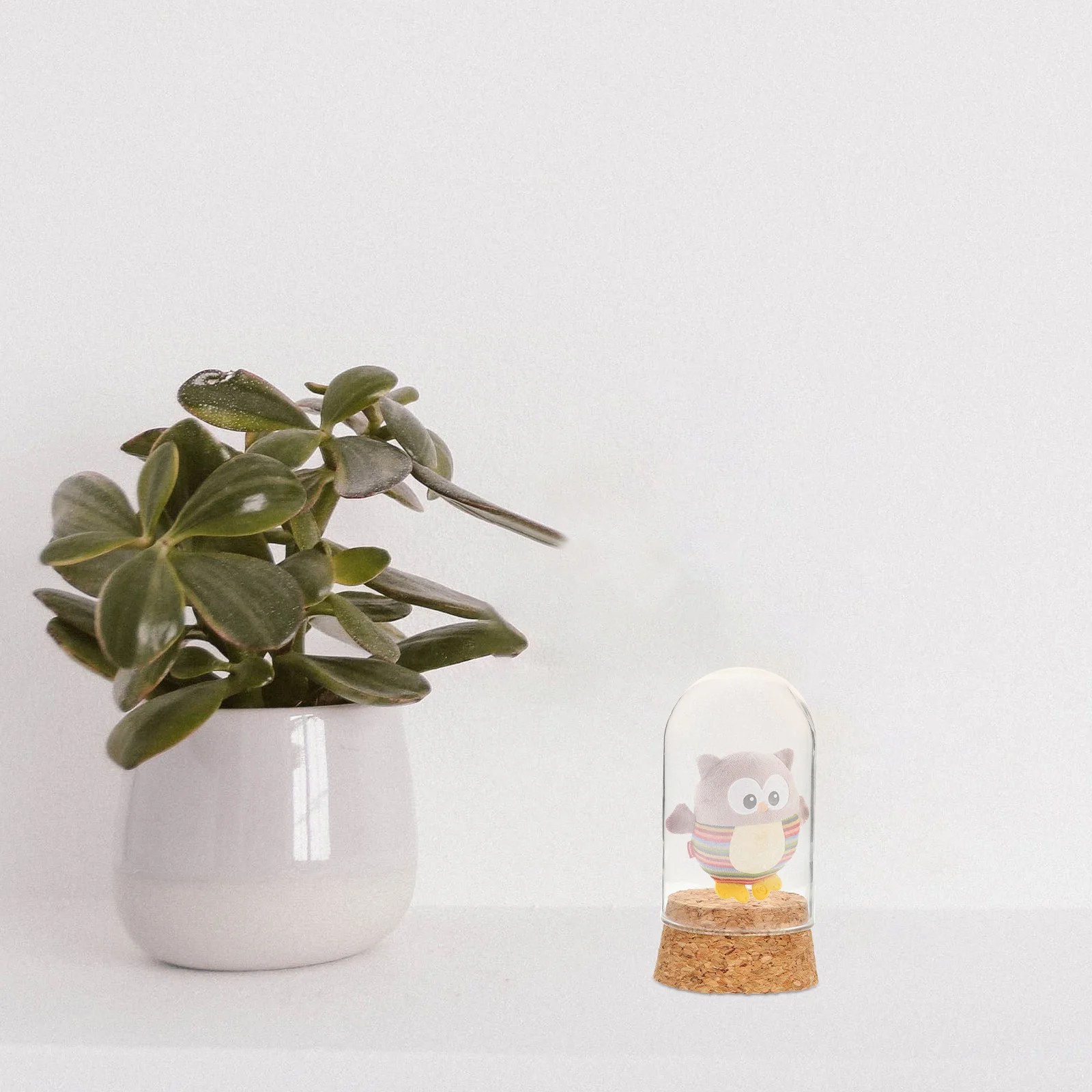 

Premium Glass Protection Case Display Box for Precious Items Easy to Clean and Portable Storage Dome Glass Dome with Base