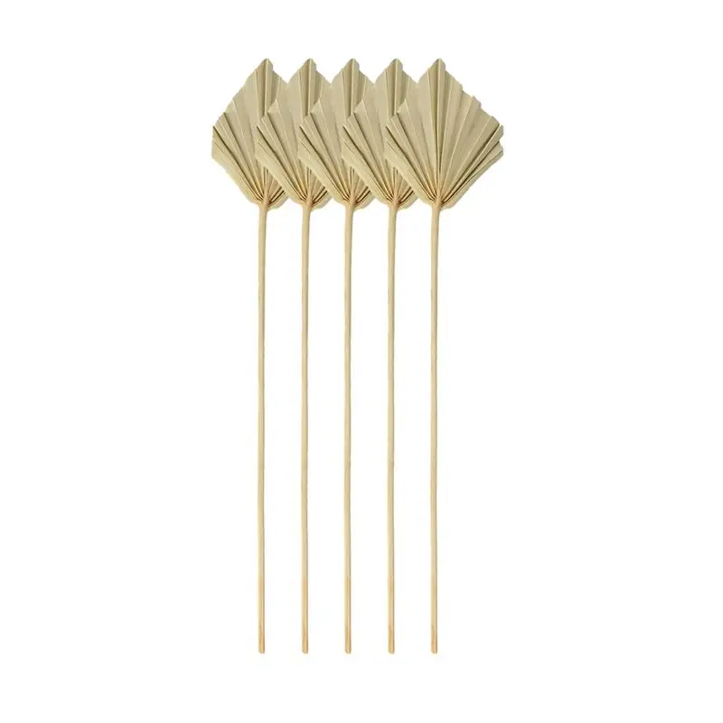 A67P-Boho Petites feuilles de palmier séchées naturelles, décoratives