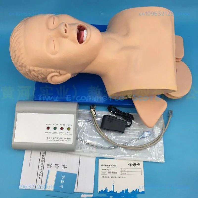 Intubation human body model learning teaching model airway management training device PVC alarm simulator with teeth BB