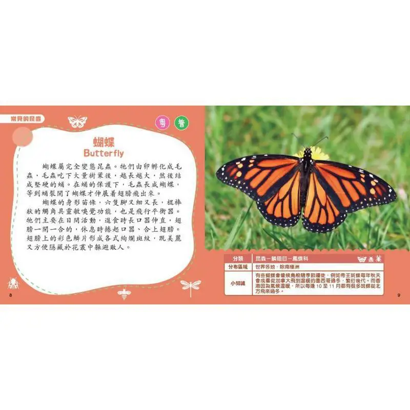 New Ya Point Reading Encyclopedia Insects Xinya Editorial Room Xinya Culture Industry Co LTD 9789620883644 Book