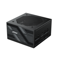 MSI PAG G750LS G850LS PCIE5 MSI 750W 850W 80 PLUS Gold Active PFC OCP / OVP / OPP /SCP / UVP Computer Power Supply