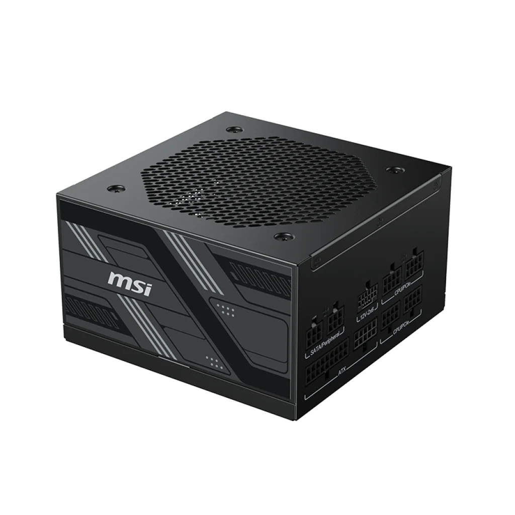 MSI PAG G750LS G850LS PCIE5 MSI 750W 850W 80 PLUS Gold Active PFC OCP / OVP / OPP /SCP / UVP Computer Power Supply