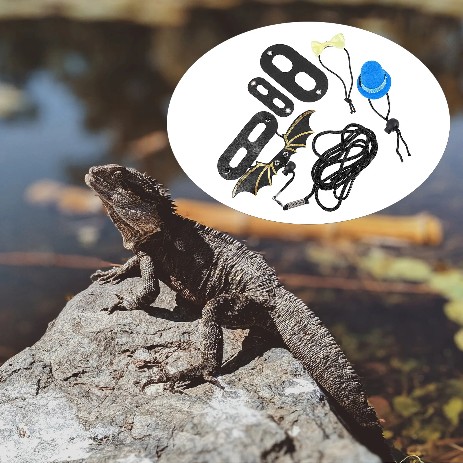 

Комплект: шлейка-поводок для рептилий с шапкой-жабрами и бантом, регулируемая, легкая, для маленьких питомцев, для прогулок на улице, праздничный костюм