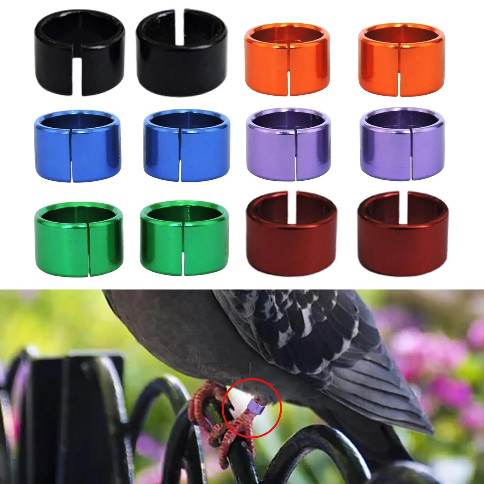 12Pcs Pigeon Leg Foot Rings, 8mm Diameter Parrot Bird Identify Clip Rings for Poultry Lovebird Finch Canary Bands