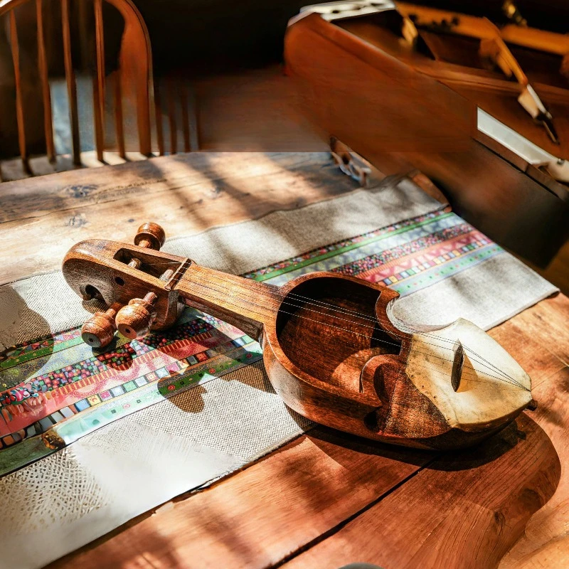 Salangi nepalese, violino alte - Musical Instrument Groups recensione e prezzo