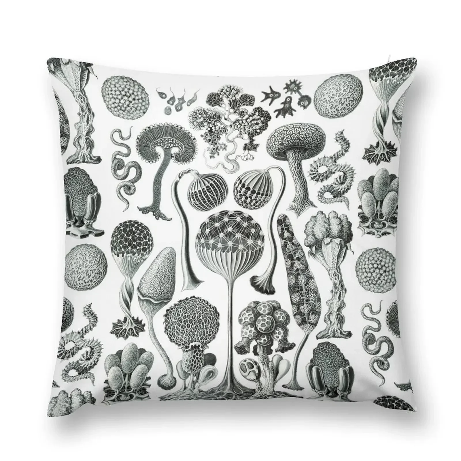 

Ernst Haeckel - Mycetozoa Throw Pillow Christmas Pillows sleeping pillows pillow cover christmas pillow
