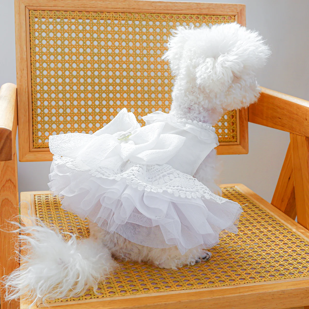 1PC Pet Clothing Dog Queen Wedding Dress Bow Cat Spring/Summer Princess Dress Suitable for Small and Medium sized Dogs